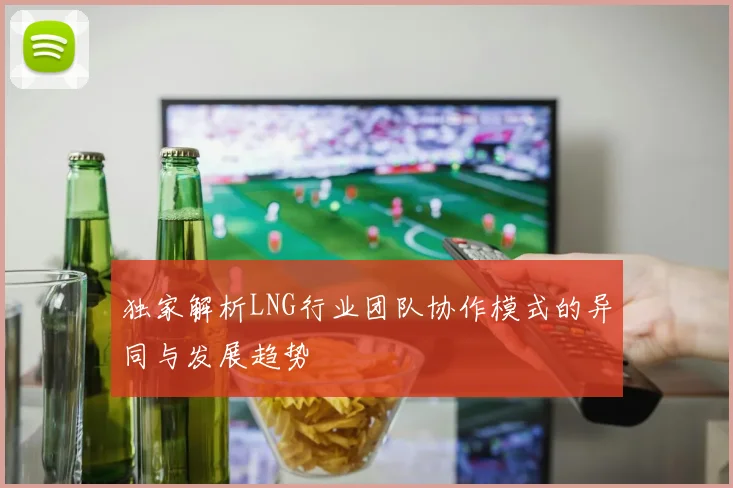 独家解析LNG行业团队协作模式的异同与发展趋势