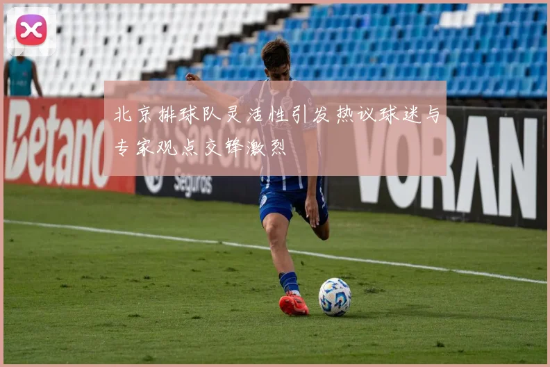 北京排球队灵活性引发热议球迷与专家观点交锋激烈
